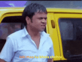 Funny Meme GIF