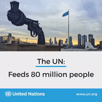 human rights peace GIF by United Nations