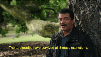 Tardigrade GIFs - Find & Share on GIPHY