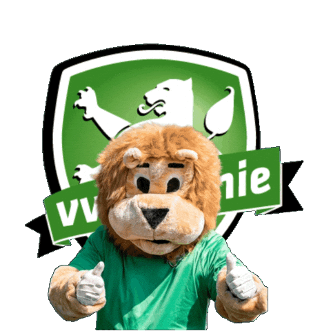 Voetbal Sticker by Sjansjee