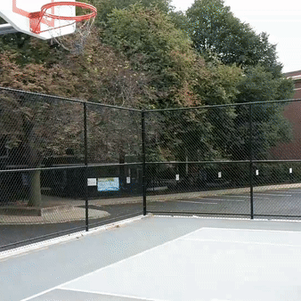You Can Do It Basketball GIF - Find & Share on GIPHY