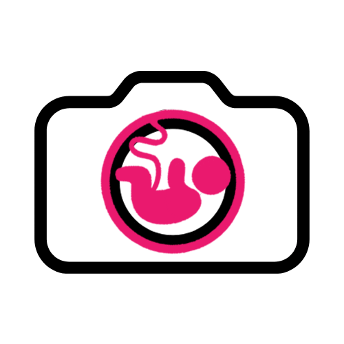 De Geboortefotograaf Sticker