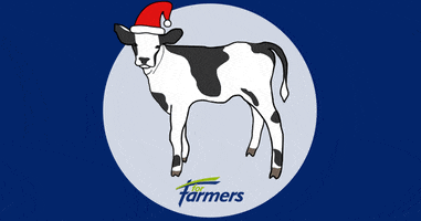 Baby Cow Christmas GIF by ForFarmers
