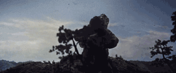 godzilla vs kong