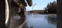 Tree GIF