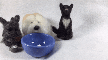 baking scottish terrier GIF by ELFvid
