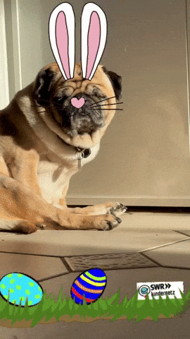 Easter Pug GIF