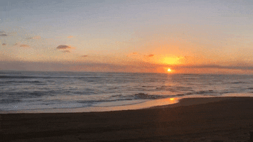 GIF by TravelSmart VIP