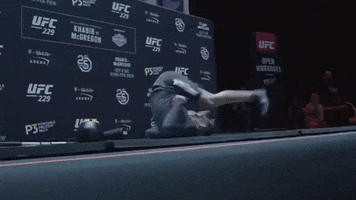 episode 4 sport GIF by UFC