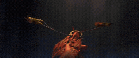 Animated GIF