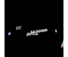 El Salvador Quebueno GIF by pansinai