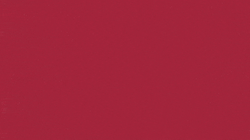 Charroslmb2025 GIF by Charros de Jalisco