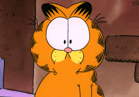 cat what GIF by Garfield