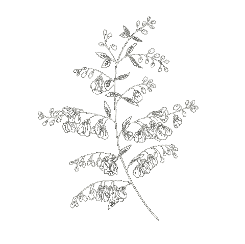 Illustration Flower Sticker