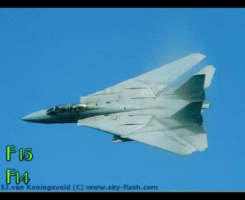fighter