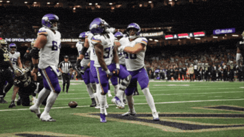 Skol GIF by Minnesota Vikings