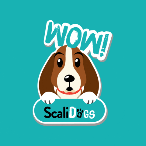 Dog Wow GIF by Scalidogs