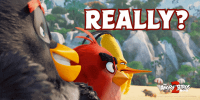 really GIF by Angry Birds Movie