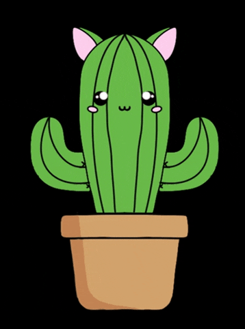 ShahMiow cat cactus shahmiow GIF