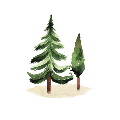 The Mini Forest Sticker