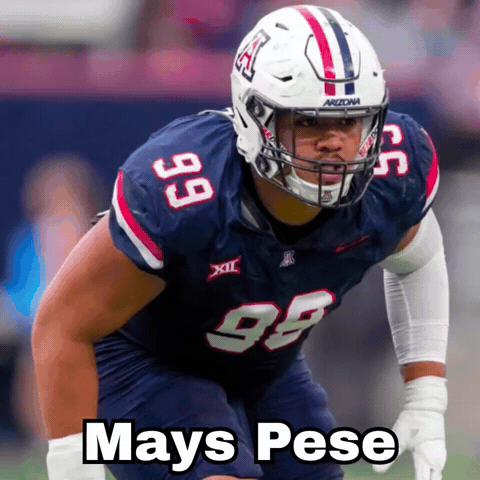 Arizona Football GIF