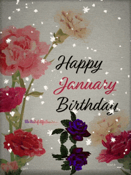 Give Happy Birthday GIF by The SOL Foundation