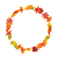 Fall Shopping Sticker by FASHION5
