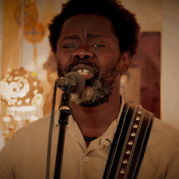 Amplified Records GIF