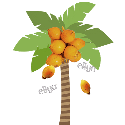 eliyanyc Sticker