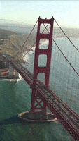 San Francisco City GIF by Yevbel