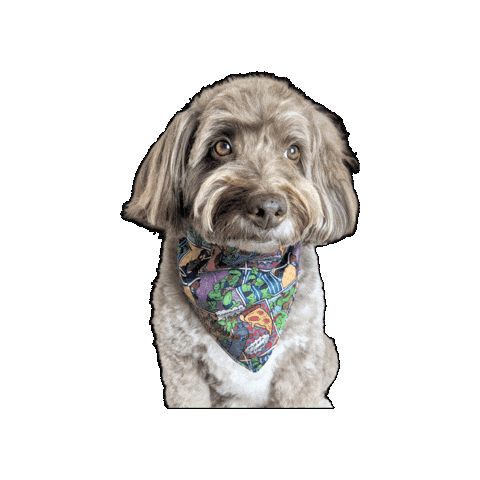 Bandana Dog Sticker by Geekster Pets