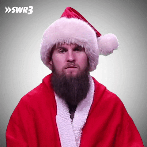 Merry Christmas Omg GIF by SWR3