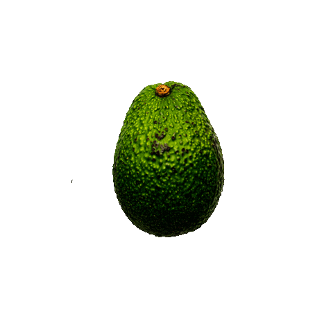 Aguacate24Latam Sticker
