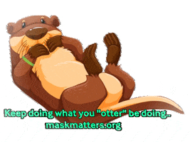 MASKmatters clapping great job otter otter be doing GIF