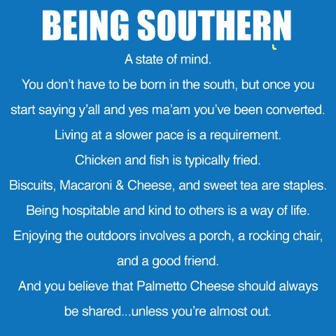 US southerners 🇺🇸