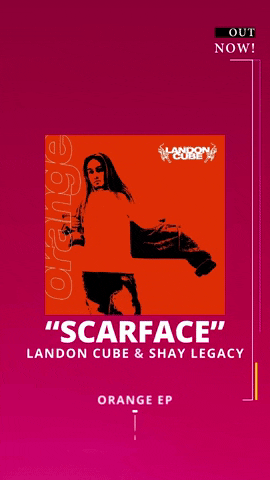 shaylorecords cube records legacy scarface GIF