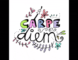 Text GIF