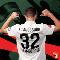 Bundesliga Raphael GIF by FC Augsburg 1907
