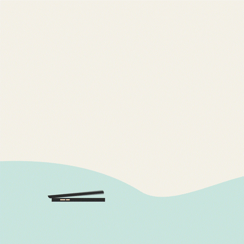 Zjednoczenie.com GIF