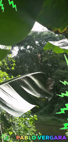High Line Argentina GIF by Greenplace TV
