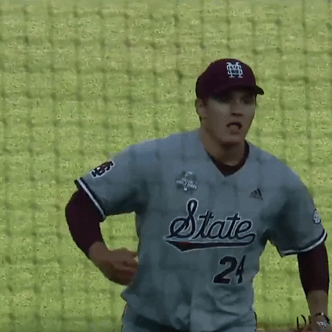 World Series Win GIF by SEC Network