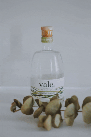 GIF by Charné