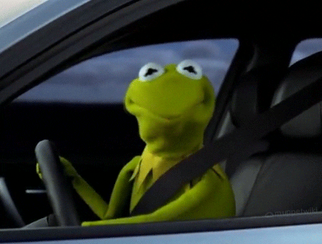 Giphy - Kermit The Frog Reaction GIF by Muppet Wiki