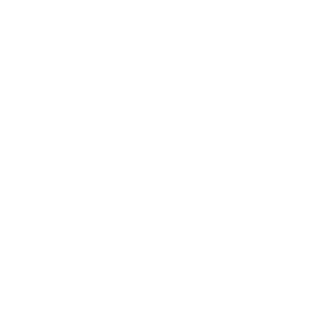 ACINA Sticker