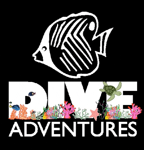 Dive Adventures GIF