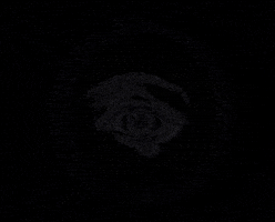 Eye Snake GIF by DB&BAR