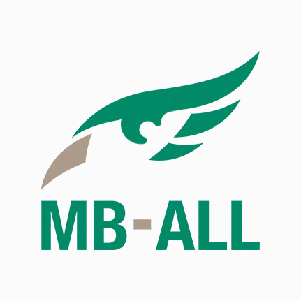 MB-ALL handhaving toezicht mball logo GIF
