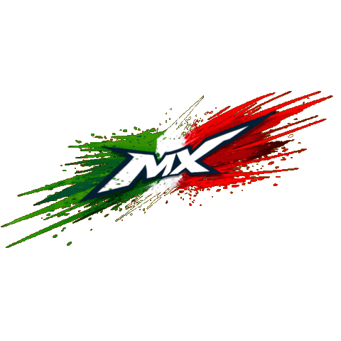 Sport Drive Sticker by Federmoto