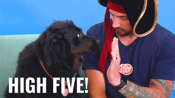 High Five Best Friends GIF by StickerGiant