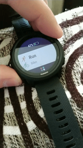 Fr245 GIF